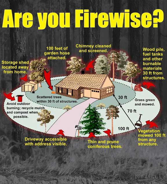 Why Firewise Pine Strawberry Fuel Reduction 0090